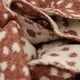 thumbnail image 3 of Bufanda/chal Triangular Mujer Tejida Bambi Print Reversible naranja Talla Única, 3 of 4