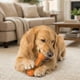 thumbnail image 2 of Juguete masticable para perros SPOT Bam-Bones Eco con mantequilla de cacahuete anudada, 2 of 2