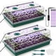thumbnail image 1 of Charola Para Germinar Semillas De 120 Celdas Con Luz De Cultivo X2 Paquetes, 1 of 7