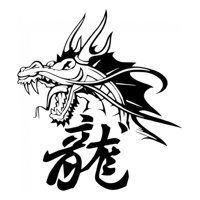 Rienda Libre Graphics - Decomural Chinese Dragon Symbol Ws-15881