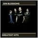 thumbnail image 1 of Gin Blossoms - Greatest Hits | Cd, 1 of 2