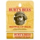 thumbnail image 1 of Bálsamo Labial De Cera De Abejas Con Ampolla De Vitamina E Y Menta De Para Unisex Ampolla De Bálsamo Labial De 0 15 Oz, 1 of 4