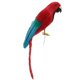 thumbnail image 2 of simulación artificial con plumas loro pájaro animal modelo juguete decoración para el hogar f, 2 of 4
