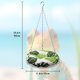 thumbnail image 2 of Cama colgante para reptiles Slepceub de 30 cm – Hamaca para lagartos, 2 of 6