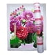 thumbnail image 1 of Kit de pintura por números Pink Picasso Dahlia 41 x 51 cm, 1 of 9