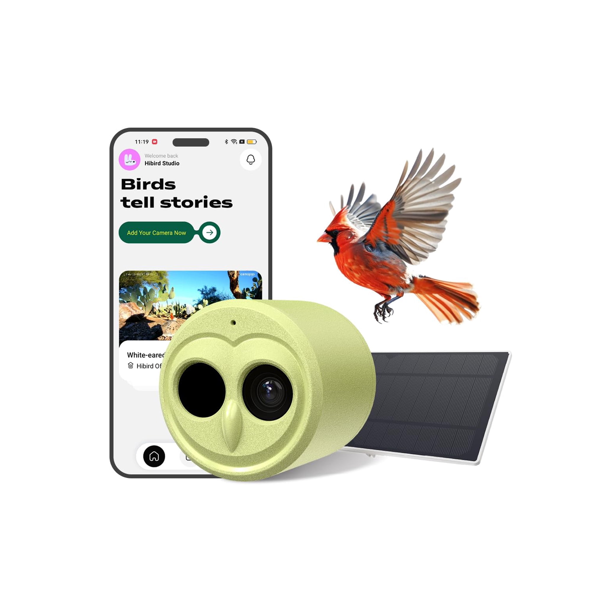 Cámara Para Comedero De Aves Camojojo K8mts 4k Solar Wifi Con Ia