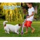 thumbnail image 2 of Juguete de cuerda para perro Bmag 91 cm 5 nudos rojo de alta resistencia, 2 of 7
