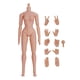 thumbnail image 1 of Juguetes De Cuerpo Musculoso De 12 Pulgadas, Coleccionables En Miniatura, Hombros Estrechos Desmontables, Hembra Normal, 1 of 5