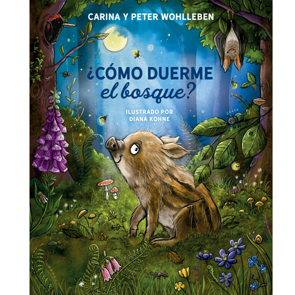 ¿Cómo duerme el bosque?