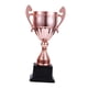 thumbnail image 2 of Trofeos De Premios Premios Trofeos Pequeños Para Niños Para Celebraciones De Fiestas Accesorios Para Eventos Cobre M, 2 of 5