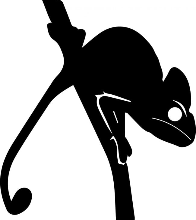 Rienda Libre Graphics - Decomural Chameleon Lizard Ws-32692