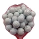 thumbnail image 1 of Pelotas de golf Golf Ball Planet Pro V1 de años mixtos AAA/Buen estado (50), 1 of 7