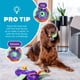 thumbnail image 5 of Puzzle interactivo para perros de peluche Outward Hound Nina Ottosson, 5 of 6