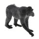 thumbnail image 3 of Figura De Acción De Modelo De Animal Estático Para Ni?os Y Adultos Macaca Nigra, 3 of 5