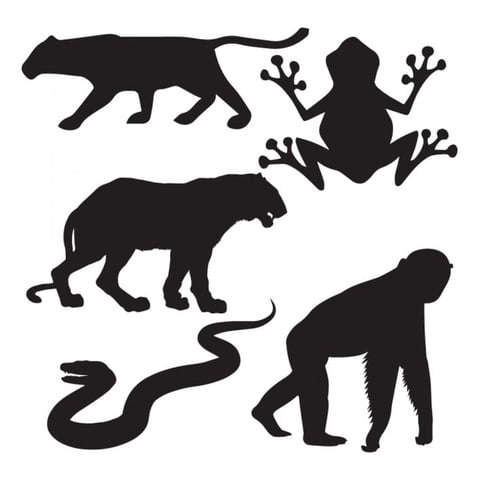 Rienda Libre Graphics - Decomural Jungle Animals Gorilla Snake Set Ws-33097