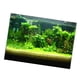 thumbnail image 3 of Póster De Fondo De Acuario De Un Lado, Decoración De Papel Tapiz, Pegatina De 122x61cm, 3 of 5