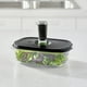 thumbnail image 2 of OSTER CONTAINER FOODSAVER 024X, 2 of 8
