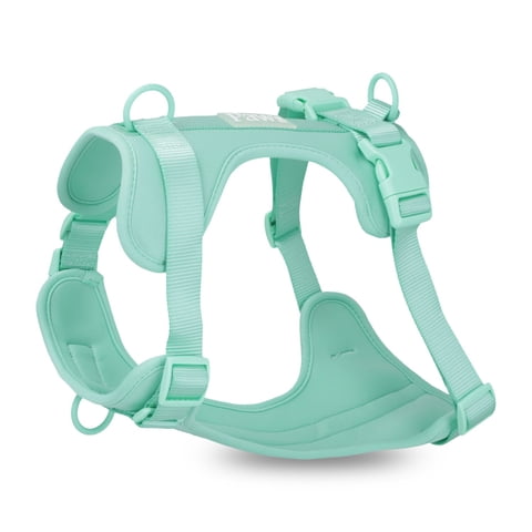 Arnés Paws Verde Agua / S