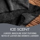 thumbnail image 2 of Ambientador California Scents Power Bloc Ice Scent, 2 of 8