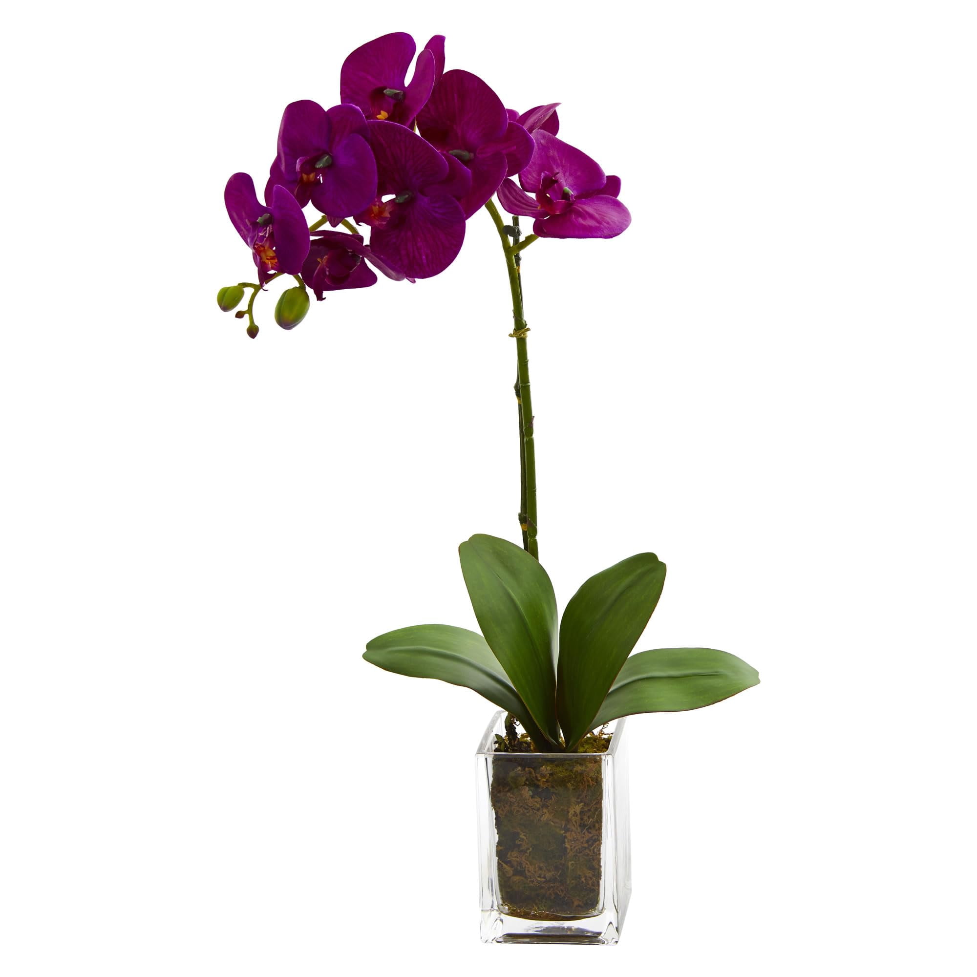 Nearly Natural - Arreglo Artificial Orquídea Casi Natural Phalaenopsis