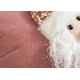 thumbnail image 3 of 2 Fundas Cojin Navidad 45x45 Sin Relleno Merry Cuarzo, 3 of 3