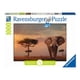 thumbnail image 1 of Puzzle Elefante en Masai Mara - 1000 piezas, 1 of 1
