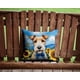 thumbnail image 2 of Cojín Sunflowers Fox Terrier, 2 of 6