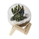 thumbnail image 1 of Maceta De Cristal Con Adornos Florales, Maceta Creativa Para Jardín Al Aire Libre, Hotel, 10cm, 1 of 5