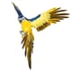 thumbnail image 4 of Realista Pájaro Artificial Pluma Loro Modelo Moderno Para El Hogar Jardín Porche Azul Amarillo, 4 of 5