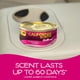 thumbnail image 3 of Ambientador Can California Scents Coronado Cherry 12 x 45 ml, 3 of 7