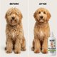 thumbnail image 5 of Spray desenredante para perros We Love Doodles 473 ml sin fragancia, 5 of 9