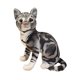 thumbnail image 5 of Lovely Cat Doll Peluche De Juguete Cómodo Doll Soft Para Ni?os Adultos Adolescentes Negro, 5 of 5