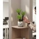 thumbnail image 3 of Planta Artificial Decorativa Adorno Hogar Moderno Jhn, 3 of 3