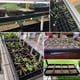 thumbnail image 5 of 5 bandejas de germinación para plántulas de vegetales (54 x 28 cm), bandejas de cultivo de plástico para hidroponía en invernaderos., 5 of 5