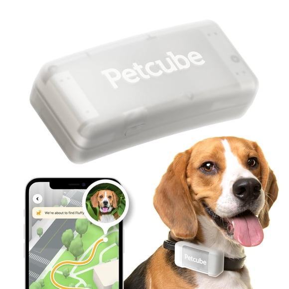 Localizador GPS Petcube para perros con alertas de escape y vallas virtuales