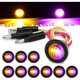 thumbnail image 1 of Luz Marcadora Lateral 34 LED XtraGlow Dual Ámbar y Púrpura 12V, 1 of 2