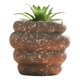 thumbnail image 1 of Set 2 Planta Artificial Decorativa Suculenta Nórdica Jhn, 1 of 3