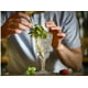 thumbnail image 3 of Set 4 copas Vino Hobstar 300ml, 3 of 3