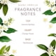 thumbnail image 3 of Perfume SCENT BEAUTY de Dolly Parton Early Morning Breeze, 3 of 5