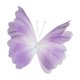 thumbnail image 1 of Mariposa Artificial De Hilo Para Decoración De Bodas, Fiestas, Pasillos, Accesorios De Fotos, Color Violeta, 1 of 5
