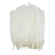 thumbnail image 3 of 50 piezas de plumas de ganso natural decoración 12-20cm DIY Jewelry Making White, 3 of 5