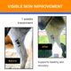 thumbnail image 3 of Crema para la piel equina Verdant Equus Jazzy’s Cream para dermatitis por lluvia, 3 of 9