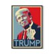 thumbnail image 1 of Cuadro Poster Enmarcado Donald Trump Decorativo, 1 of 1