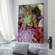 thumbnail image 3 of Plantas Suculentas Cuadro decorativo colgante - Arte de pared - Póster enmarcado - Decoración de pared - Regalos para familia, amigos y aficionados 20*30 cm, 3 of 6