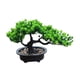 thumbnail image 4 of Pantallas De Escritorio De Bonsai De Plantas Artificiales Para La Altura Del Hotel De La Oficina De La Granja 19 Cm, 4 of 5