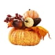 thumbnail image 2 of Accesorios Para Fotos De Flores De Calabaza Artificiales Oficina De Otoño Halloween Acción De Gracias Estilo B, 2 of 5