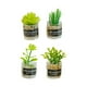 thumbnail image 5 of 4 Uds Escala 1:12 Casa De Muñecas Plantas En Miniatura Modelo Pequeño Bonsái Para Casa De Muñecas Estilo B, 5 of 5