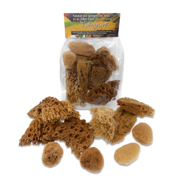 Esponjas Marinas Lullingworth 10 pzas 5‑10 cm sin blanquear