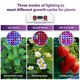 thumbnail image 4 of Luz LED Grow Light King Plus de 1200 W de espectro completo para interiores, 4 of 8