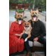 thumbnail image 3 of Disfraz de látex para Halloween de perro pastor alemán de Mask Lubber, 3 of 9